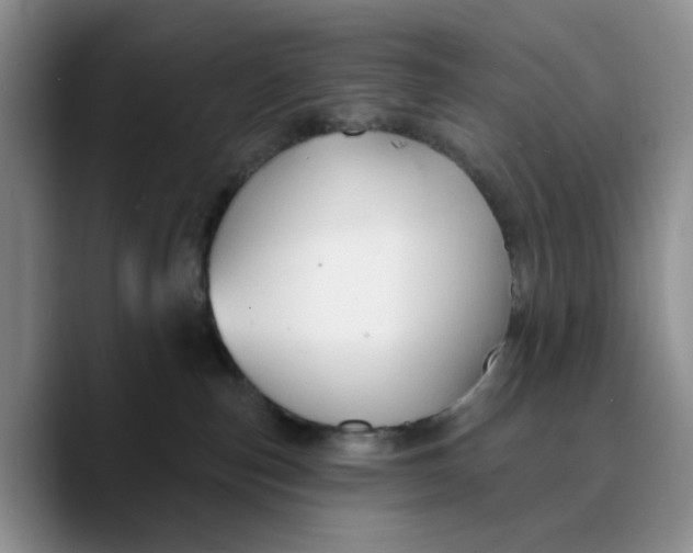 X0000089680187200707201707