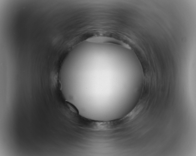 X0000089680188200707201707