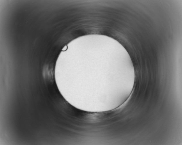 X0000089680190200707201707