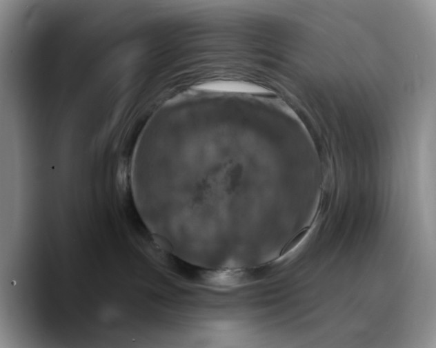 X0000089680191200707201707