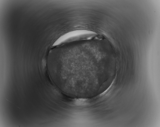 X0000089680192200707201707