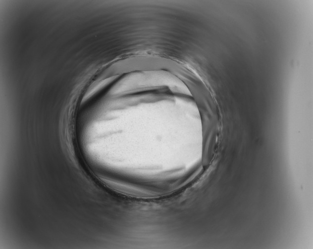 X0000089680193200707201707