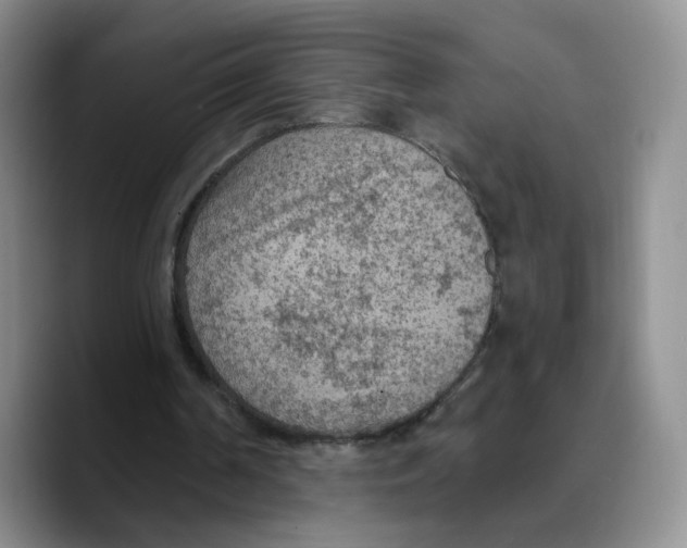 X0000089680194200707201707