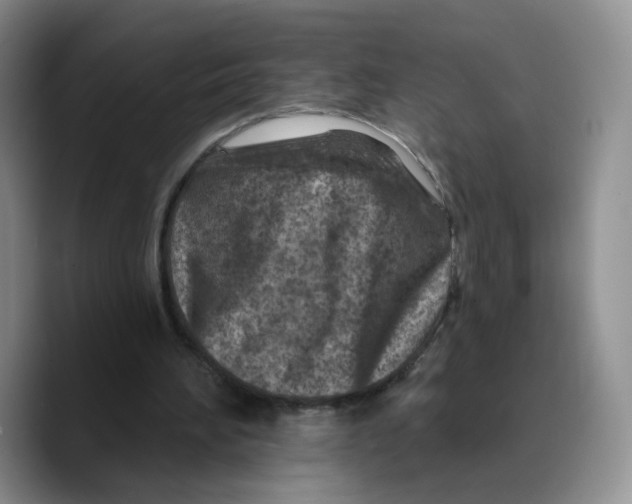 X0000089680196200707201707