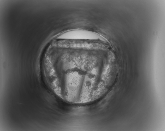 X0000089680198200707201707