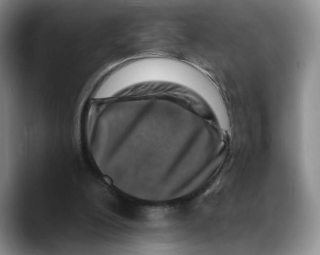 X0000089680200200707201707