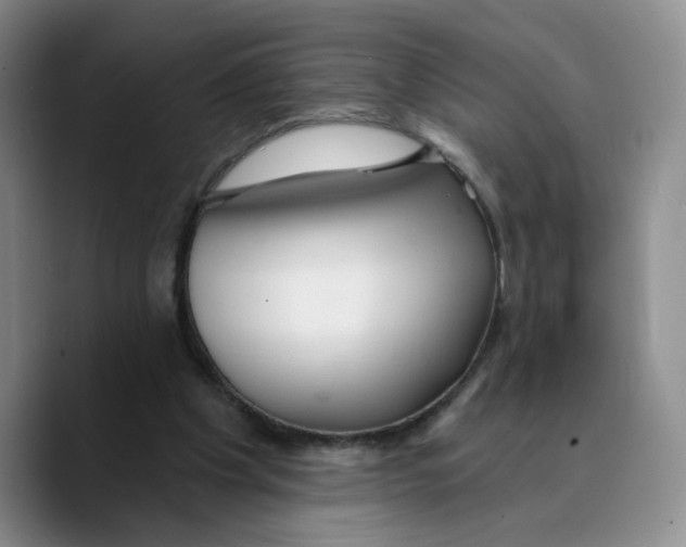 X0000089680201200707201707