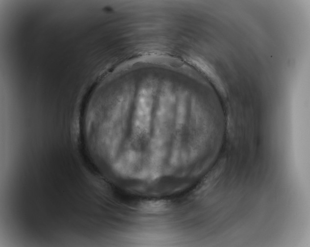 X0000089680202200707201706