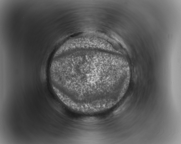 X0000089680203200707201706