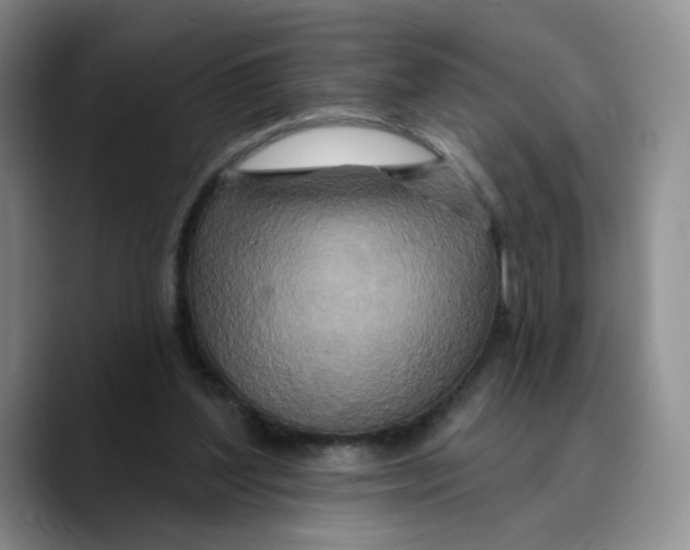 X0000089680204200707201706