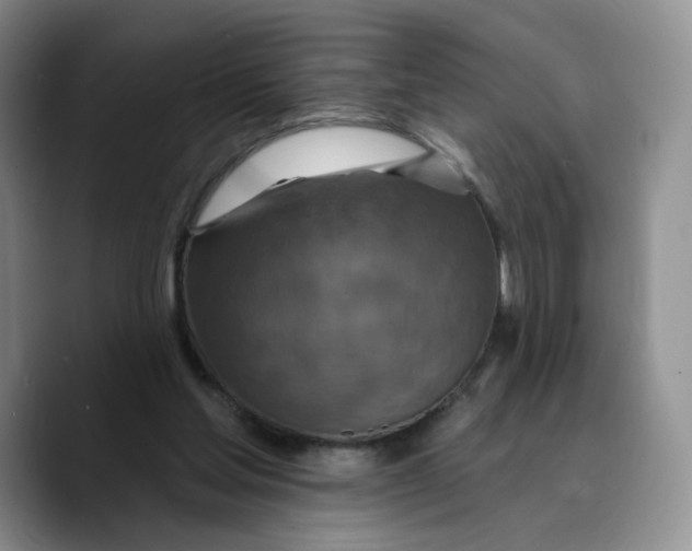 X0000089680205200707201706