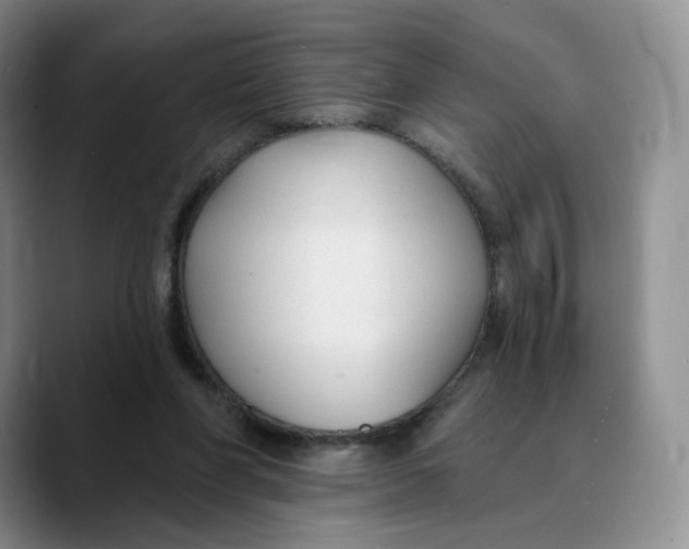 X0000089680206200707201706