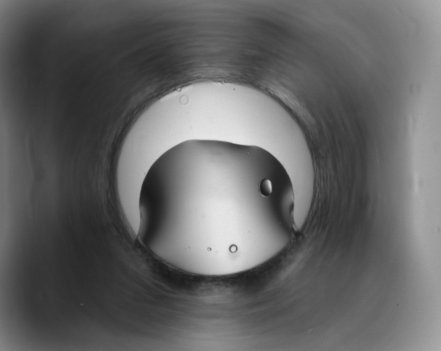 X0000089680207200707201706