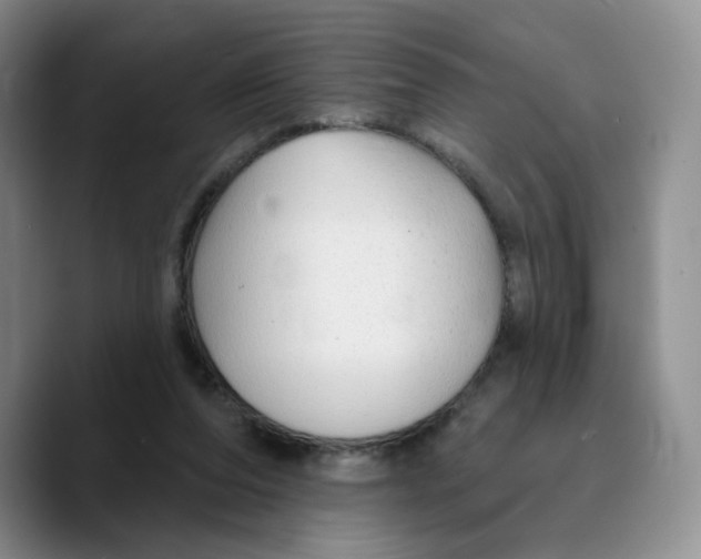 X0000089680208200707201706