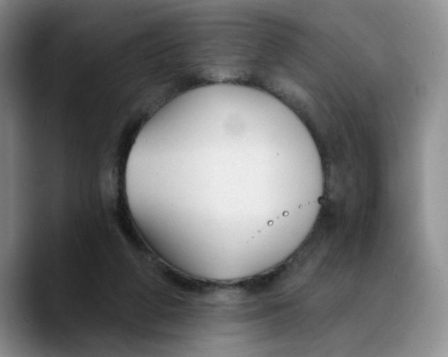 X0000089680210200707201706