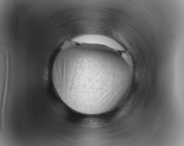 X0000089680211200707201706