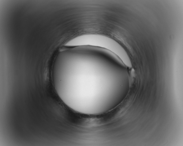 X0000089680212200707201706