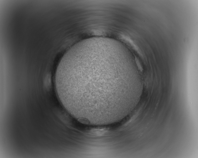 X0000089680213200707201706