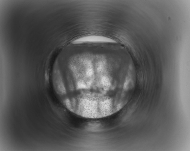X0000089680214200707201706