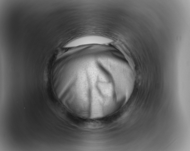 X0000089680215200707201706