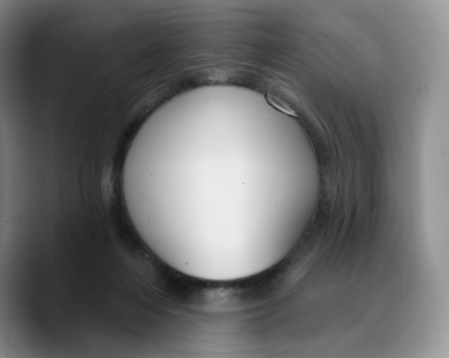 X0000089680216200707201706