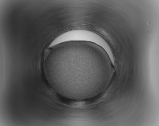 X0000089680217200707201706