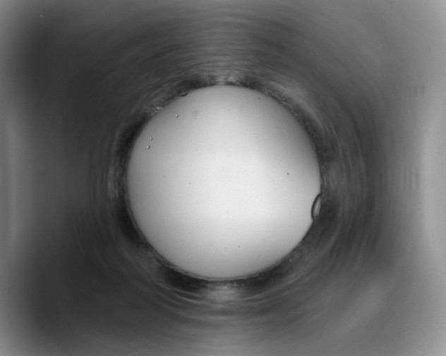 X0000089680218200707201706