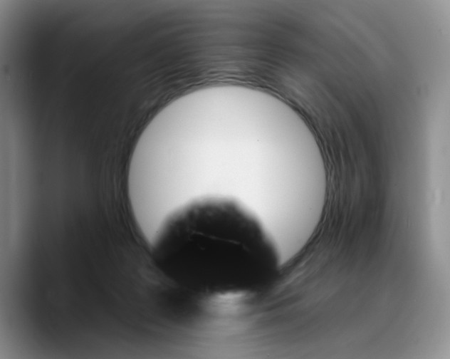 X0000089680219200707201706