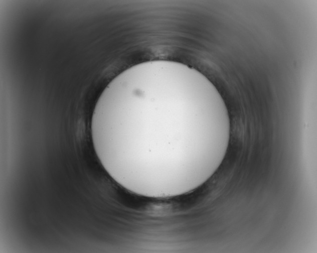 X0000089680220200707201706