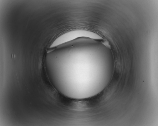 X0000089680221200707201706