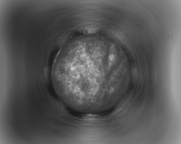 X0000089680222200707201706
