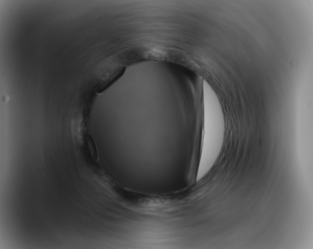 X0000089680223200707201706