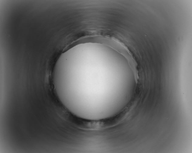 X0000089680225200707201706