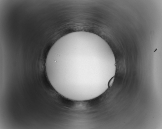 X0000089680226200707201706