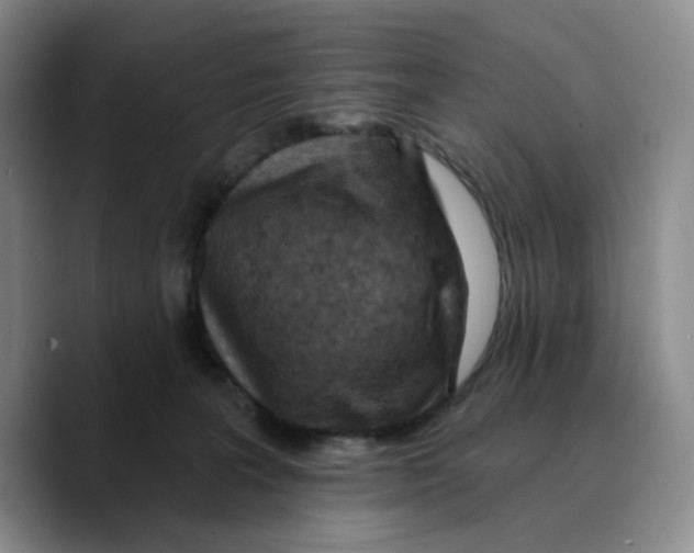 X0000089680227200707201706