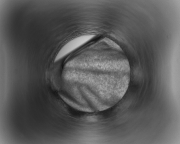 X0000089680228200707201706