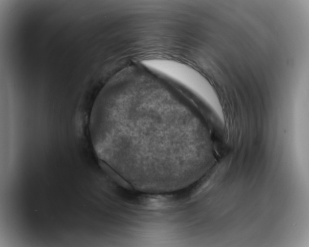 X0000089680229200707201706