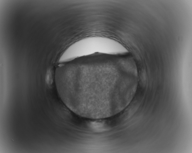 X0000089680232200707201706