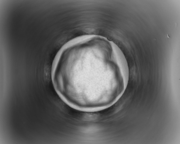 X0000089680234200707201706