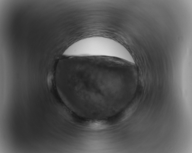 X0000089680235200707201706