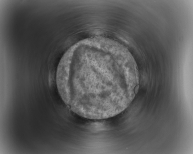 X0000089680236200707201706