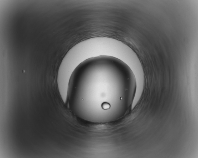 X0000089680237200707201706