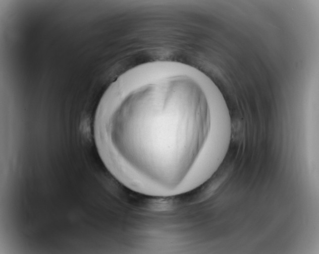 X0000089680238200707201706