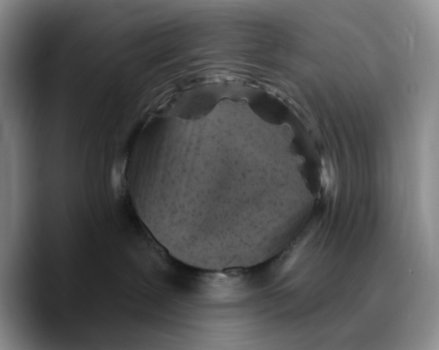 X0000089680239200707201706