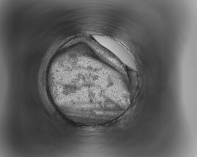 X0000089680241200707201705
