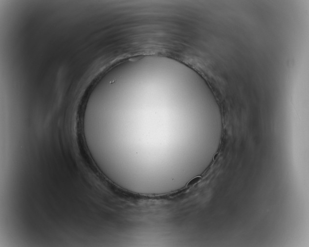 X0000089680242200707201705