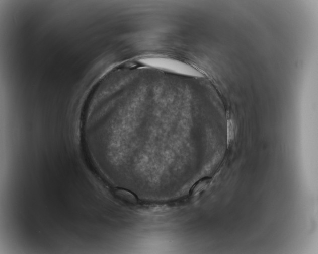 X0000089680243200707201705