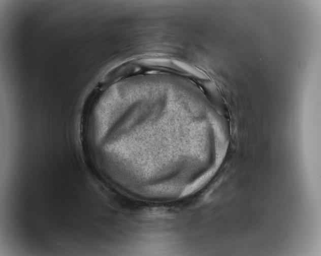 X0000089680244200707201705