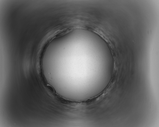 X0000089680245200707201705