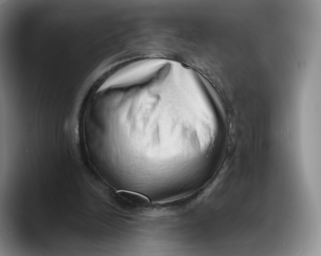 X0000089680246200707201705